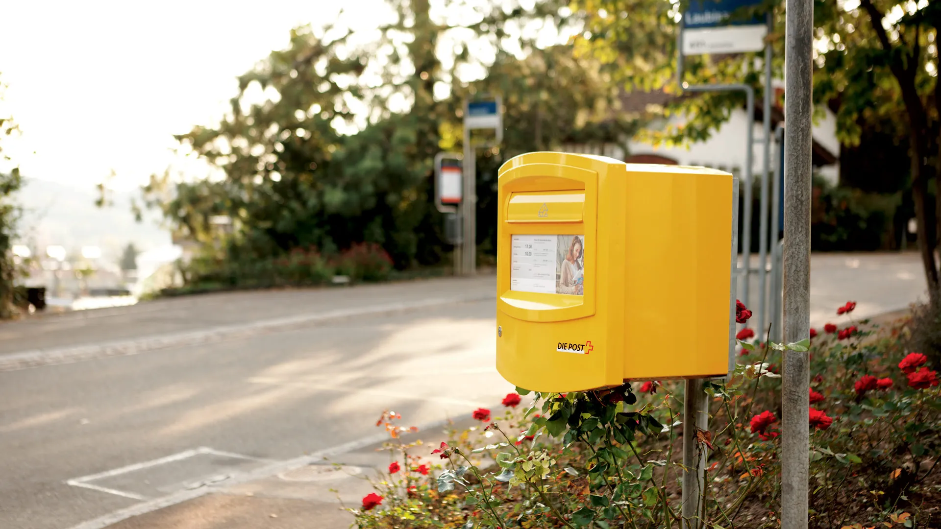 Gelber Briefkasten der Schweizer Post am Stra&szlig;enrand, umgeben von roten Rosen