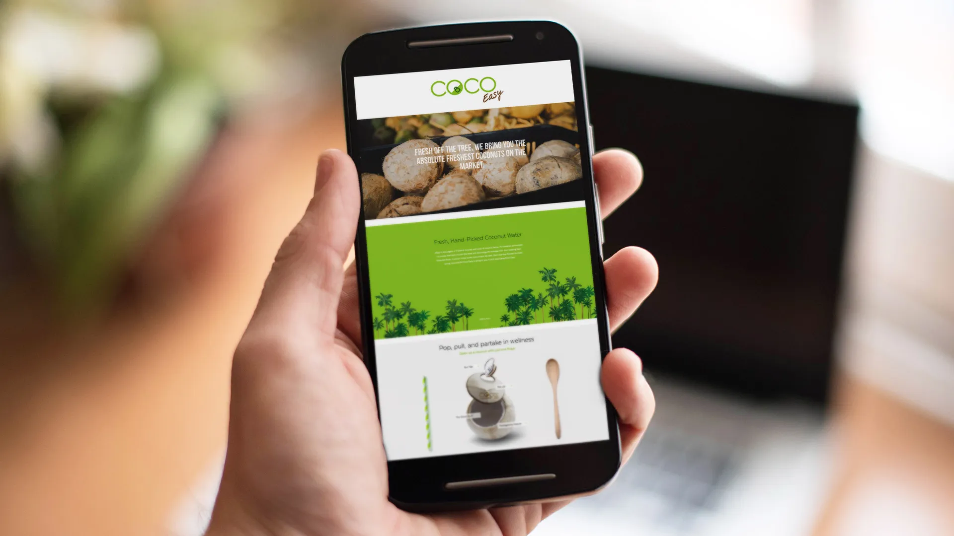 A hand holding a smartphone displaying the Coco Easy mobile website, featuring images of fresh coconuts and explanations of the opening mechanism.
